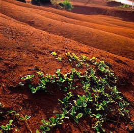 在地下室寻求邂逅有什么错！瓶瓶罐罐塔防式游戏发售